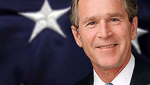 George W. Bush prezident Spojených států