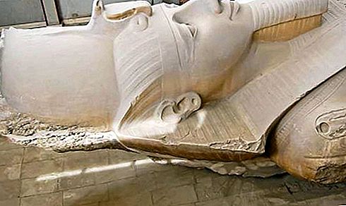 Ramses II koning van Egypte