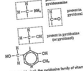 תרכובת כימית של ויטמין B6