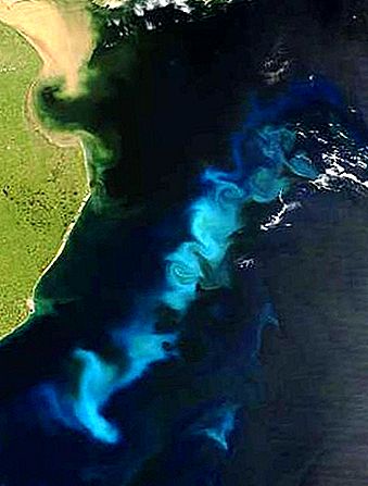 Ookeanide väetamise geoinsener