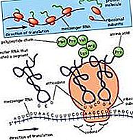 Conformación estructura molecular
