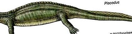 Kumpulan reptilia fosil Sauropterygian
