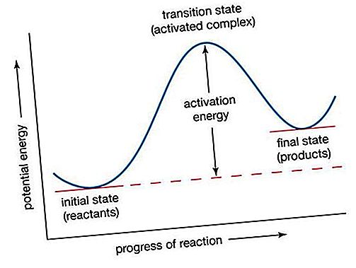 كيمياء نظرية الدولة الانتقالية