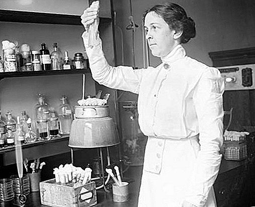 Alice Evans americká vědkyně