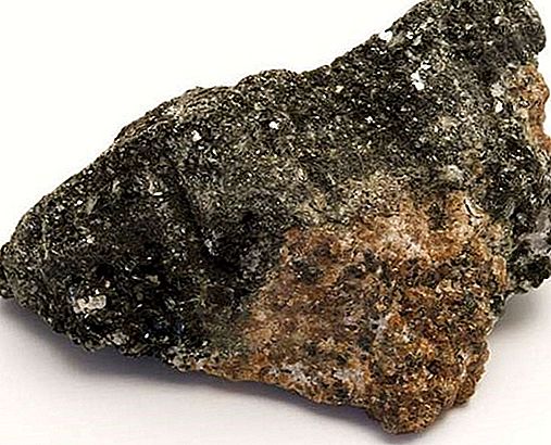 Minerale di Hornblende