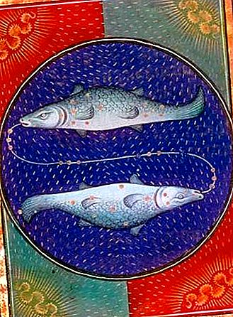 Zivis zvaigznājā un Zodiaka zīme
