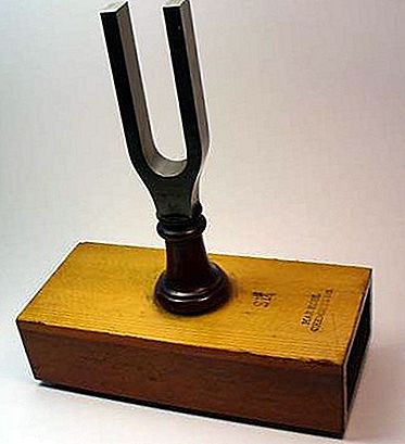 Resonatorni instrument