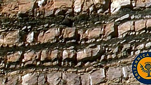 Geologia da sedimentação