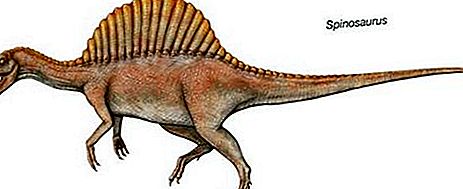 Спинозавър динозавър