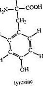 Tirozīna ķīmiskais savienojums