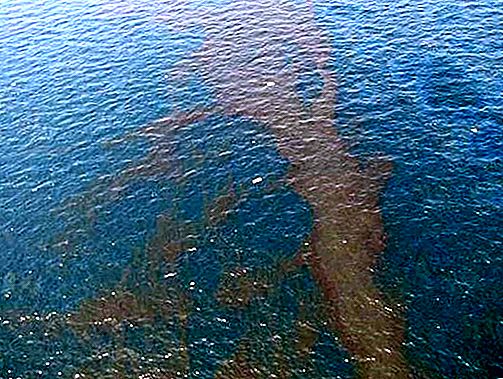 אסון נפט של Deepwater Horizon, מפרץ מקסיקו [2010]