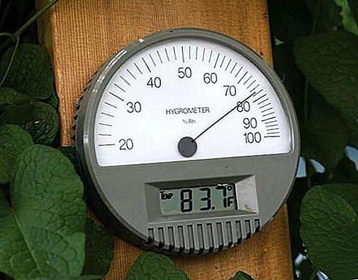 Instrumen meteorologi hygrometer