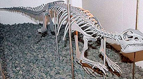 Хипсилофодон динозавър