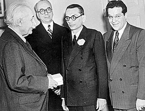 Kurt Gödel Amerikaanse wiskundige