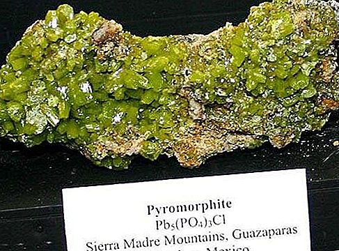 Pyromorphite mineral