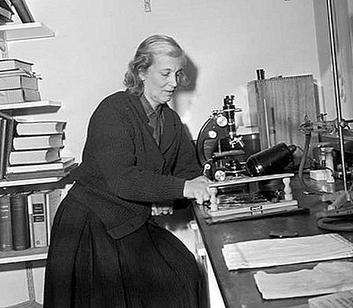 Dorothy Hodgkin engelsk kemiker