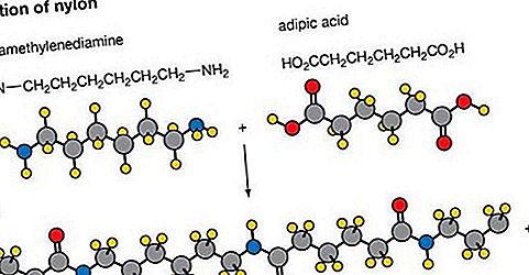 البوليمرات polymers جزيئات مكونة من وحدات متكررة من مركبات مختلفة ترتبط معًا بروابط هيدروجينية.
