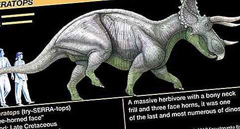 Gènere de triceratops dinosaure