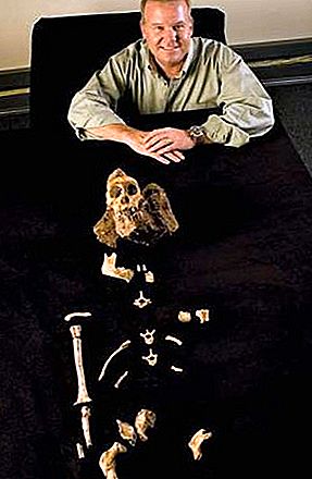 Australopithecus sediba homínido fósil