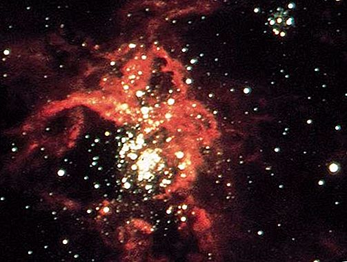 Astronomia della nebulosa tarantola