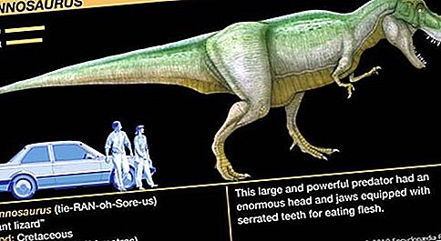 ティラノサウルス恐竜グループ