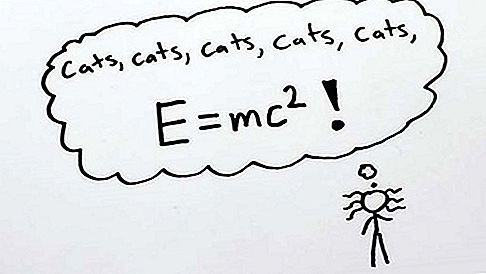 E = ecuación mc2