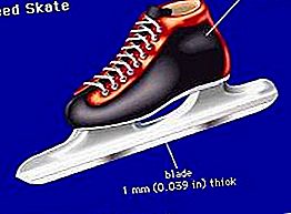 शॉर्ट-ट्रैक स्पीड स्केटिंग खेल
