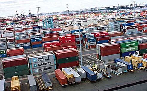 Containerisatie transport