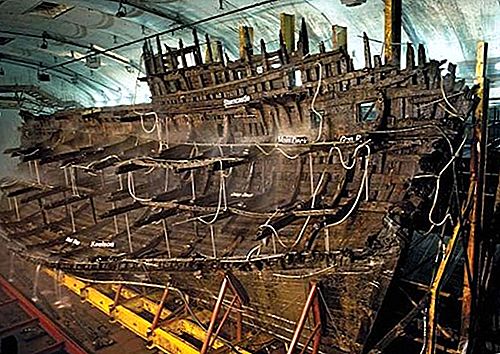 Engelsk krigsskip fra Mary Rose