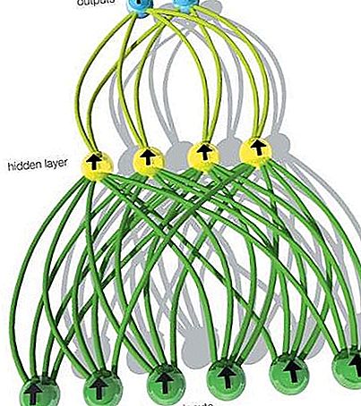 Výpočet neuronové sítě