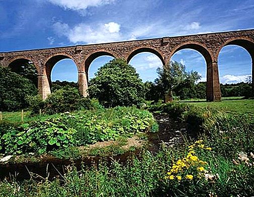 Viaduct bro