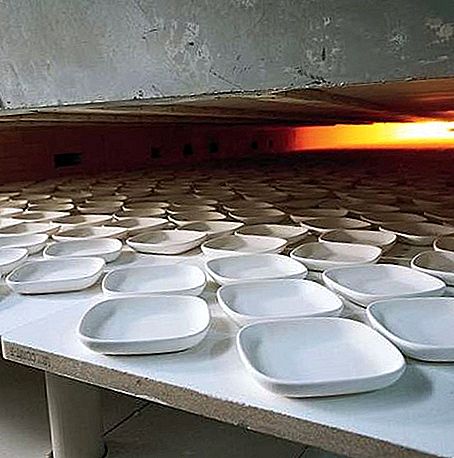Ceramiche di whiteware
