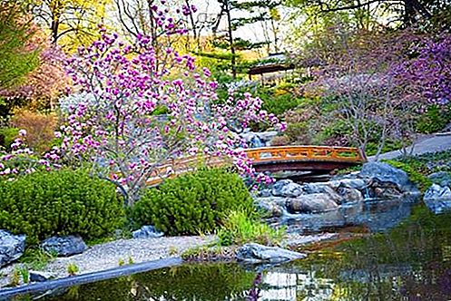 Japanilainen puutarha