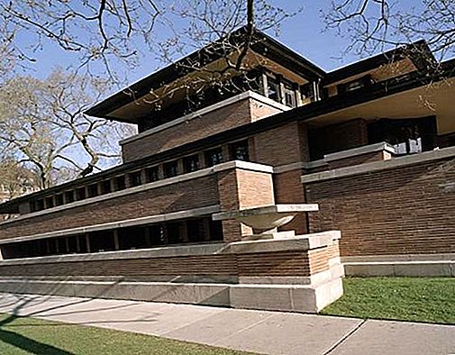 Frank Lloyd Wright Amerikaanse architect