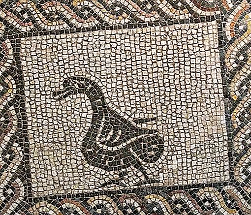 Opus tessellatum mosaic