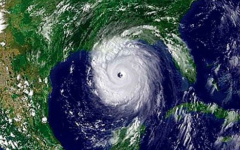 Orkaan Katrina torm [2005]