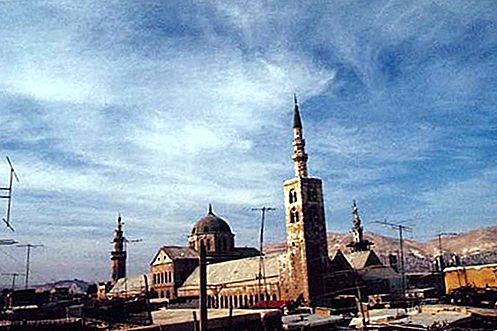 Lịch sử Hồi giáo Umayyad