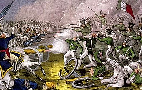 A Buena Vista csata mexikói-amerikai háborúban [1847]