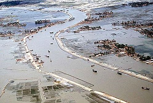 Cycloon Bangladesh van 1991 tropische cycloon